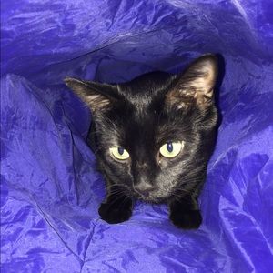 Meet your Posher, Mary lynn